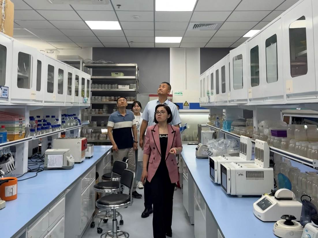 99b3efbf213c6b4a3608cd03cee03f2