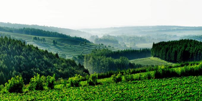 /Users/apple/Library/Containers/com.kingsoft.wpsoffice.mac/Data/tmp/picturecompress_20240930105724/output_1.jpgoutput_1